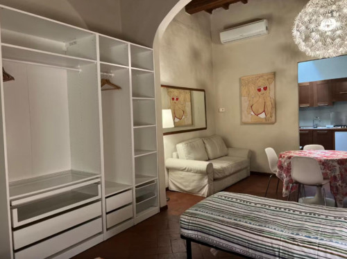 Welcoming Apartment in Florence
