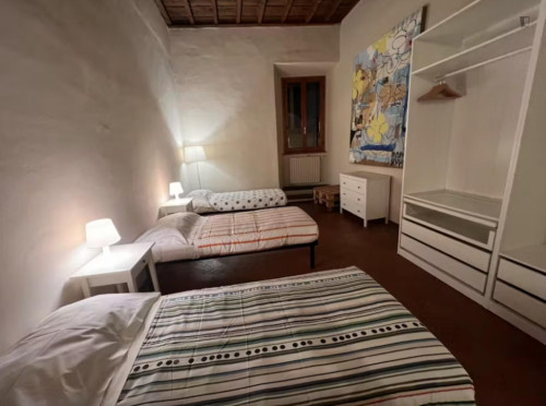 Welcoming Apartment in Florence