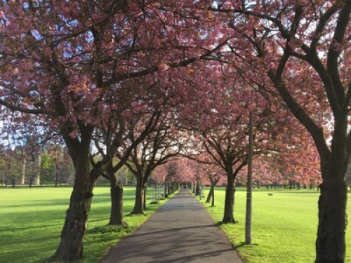 Beautiful Neighbourhood 