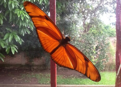 Practitioner of the spiritual path - Gallery - 9
