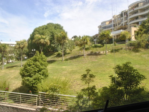 Enjoy grandma's Chilean food