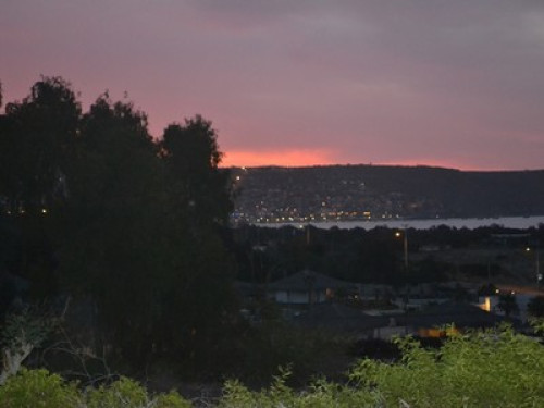 I Love Chile Guanaqueros-