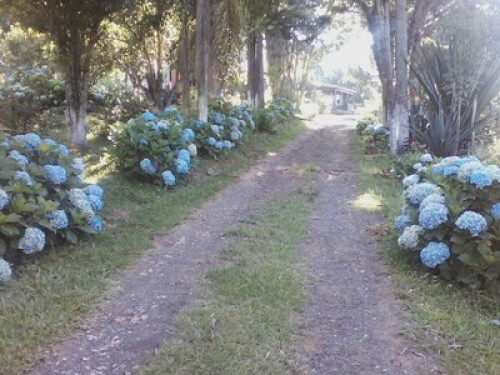 Clean Air Amid Nature - Gallery - 12