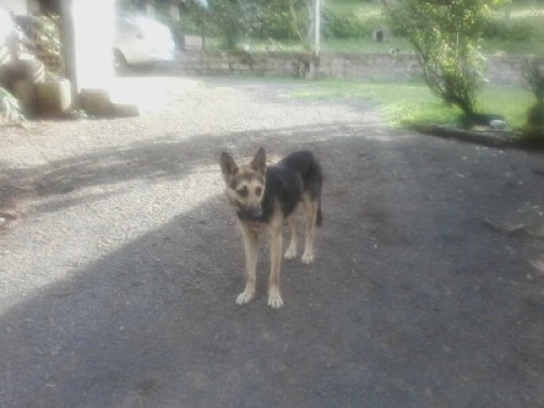 Clean Air Amid Nature