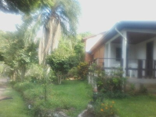 Clean Air Amid Nature  - Gallery -  5