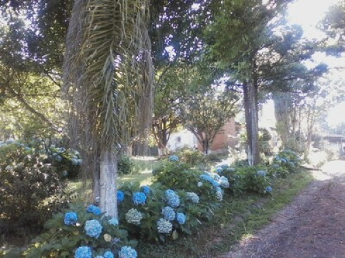 Clean Air Amid Nature - Gallery - 20