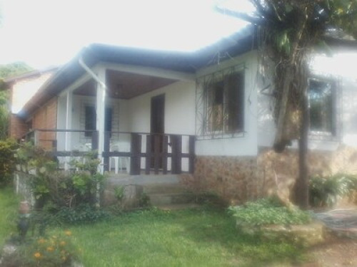 Clean Air Amid Nature