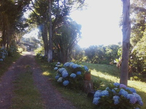 Clean Air Amid Nature - Gallery - 19