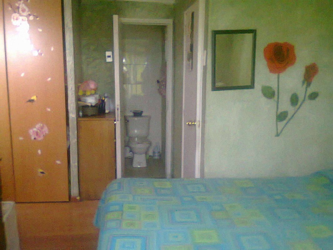 Habitacin Main(Single Bed) - 1