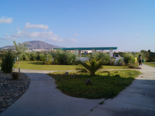 Fanatic cultural exchange