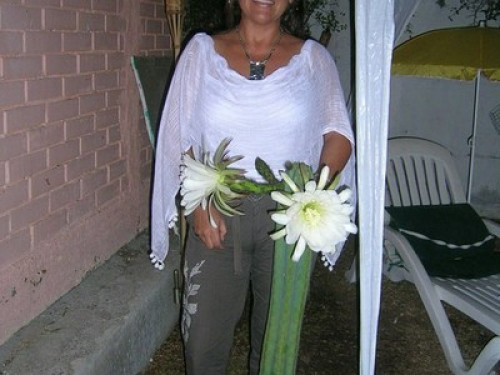 LA SERENA COQUIMBO VALLE ELQUI