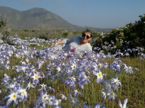 LA SERENA COQUIMBO VALLE ELQUI
