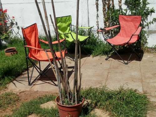 My house is your house