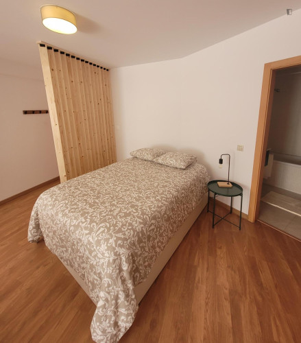 Fascinating Studio with a terrace close to Aveiro Train Station