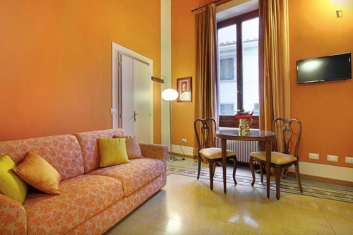 Lovely Studio in Florence - Gallery - 11