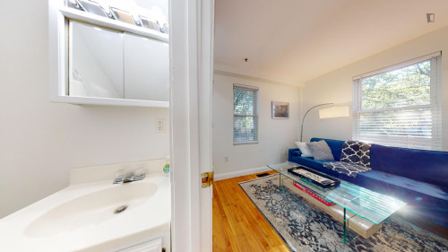 Lovely 1 bedroom apartment in Cambridge  - Gallery -  5