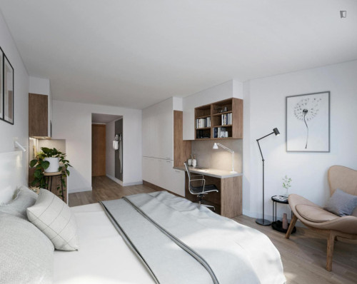 Bright and neat studio near the centre of Bonn