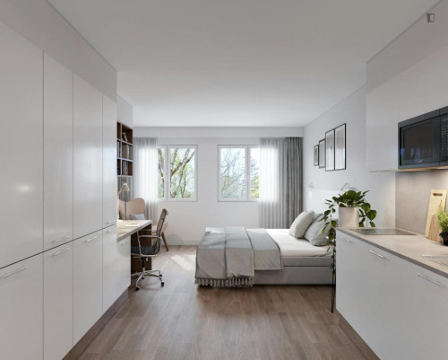 Bright and neat studio near the centre of Bonn  - Gallery -  5