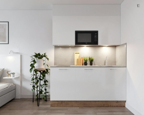 Bright and neat studio near the centre of Bonn