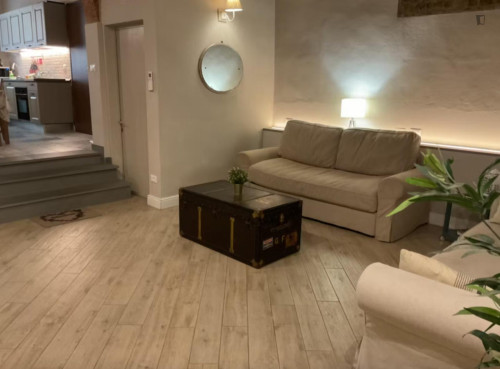 One Bedroom Apartment in Florence - Gallery - 10