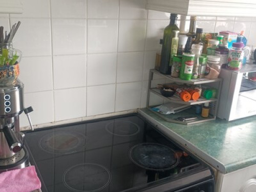 Bellevue   - Gallery -  5