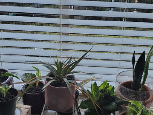 QUIET AND COMFY ROOM