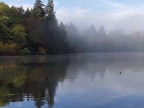 QUIET AND COMFY ROOM