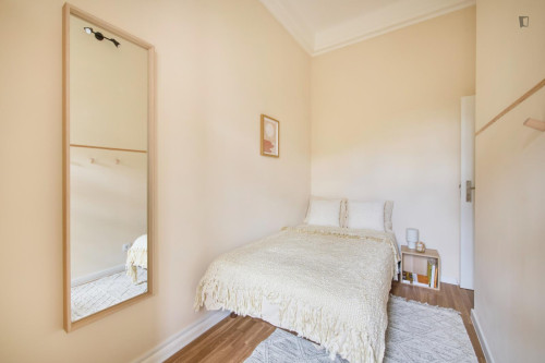 Alluring single bedroom in Alameda