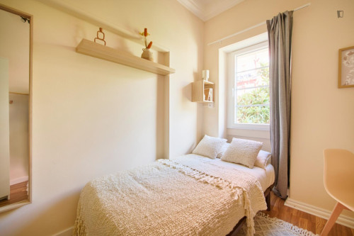 Cosy single bedroom in Alameda