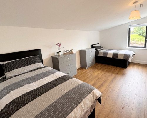 Bed in a big twin male bedroom, in Mallow Road