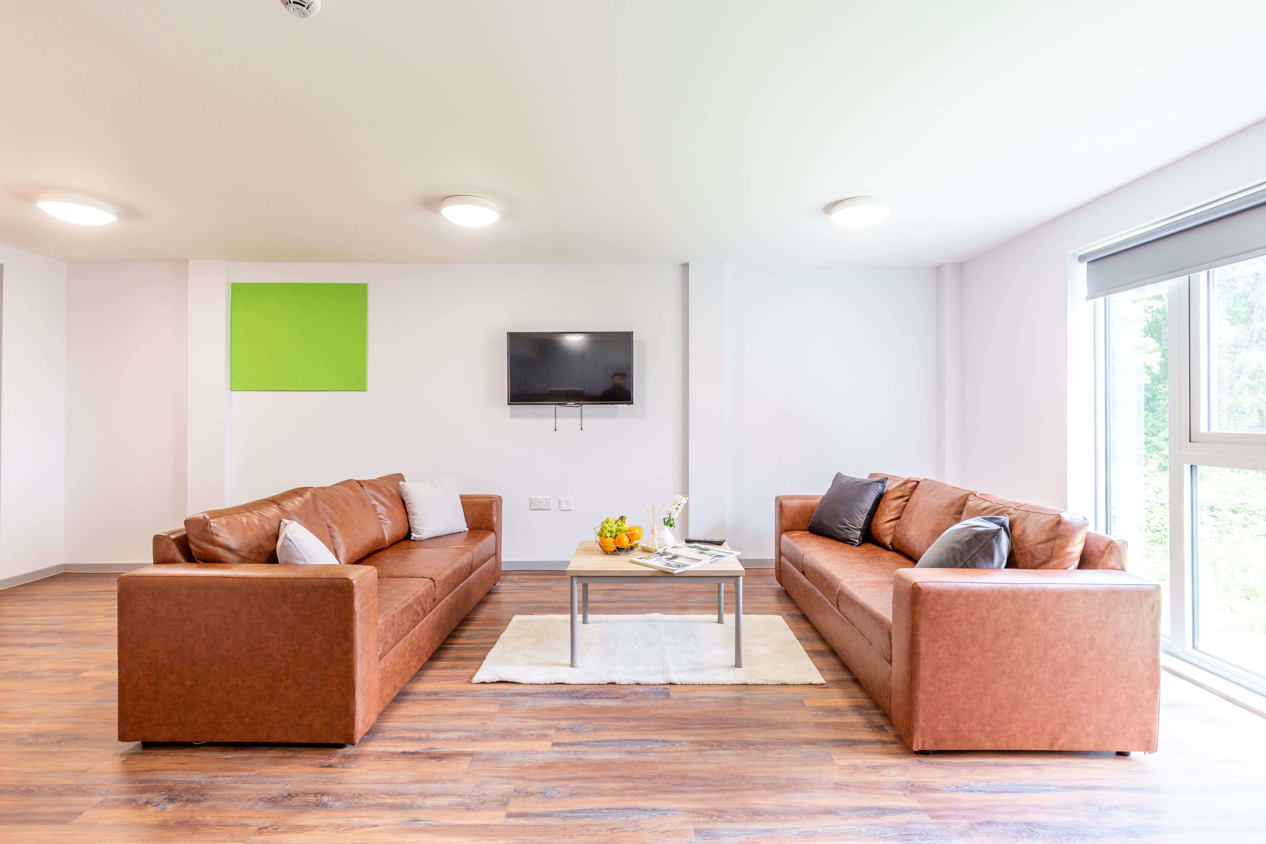  Standard Plus En-Suite  -  Bryson Court – Portland Green Student Village  - Gallery -  5