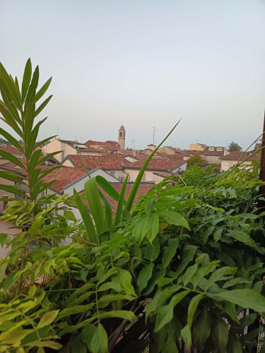 Room in Via Alboino, Pavia for 60 m² with 2 bedrooms - Gallery - 13