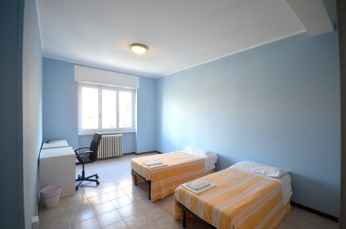 Via Ettore Ponti  - Gallery -  3