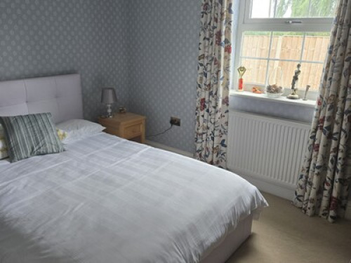 Cosy room in a friendly quiet house