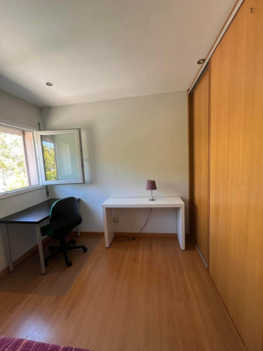 Single bedroom close to Instituto Superior de Engenharia de Coimbra