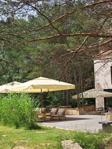 Stylish Mountain Coliving & Co-working + Outdoor Chill Zones + Social Lounge + Nature Wellness