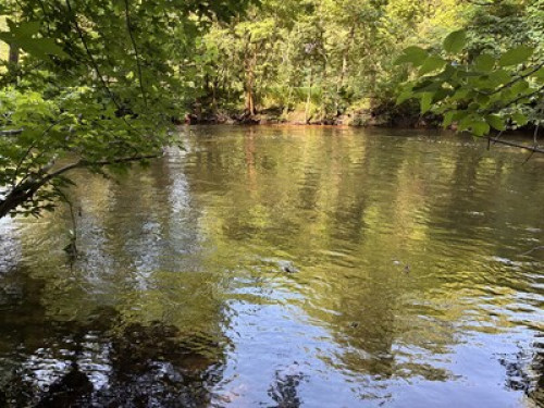 In the city near nature 