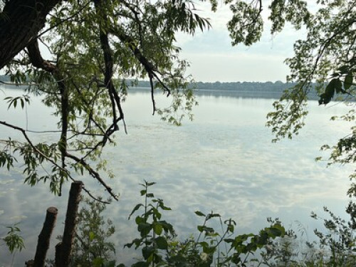 In the city near nature   - Gallery -  5