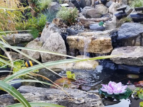  Fully Furnished rooms for students