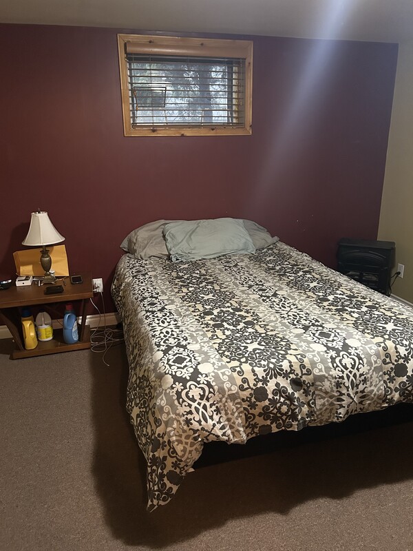 Basement Bedroom(Full Room) - 1