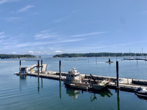 Lovely Single Rooms with Garden