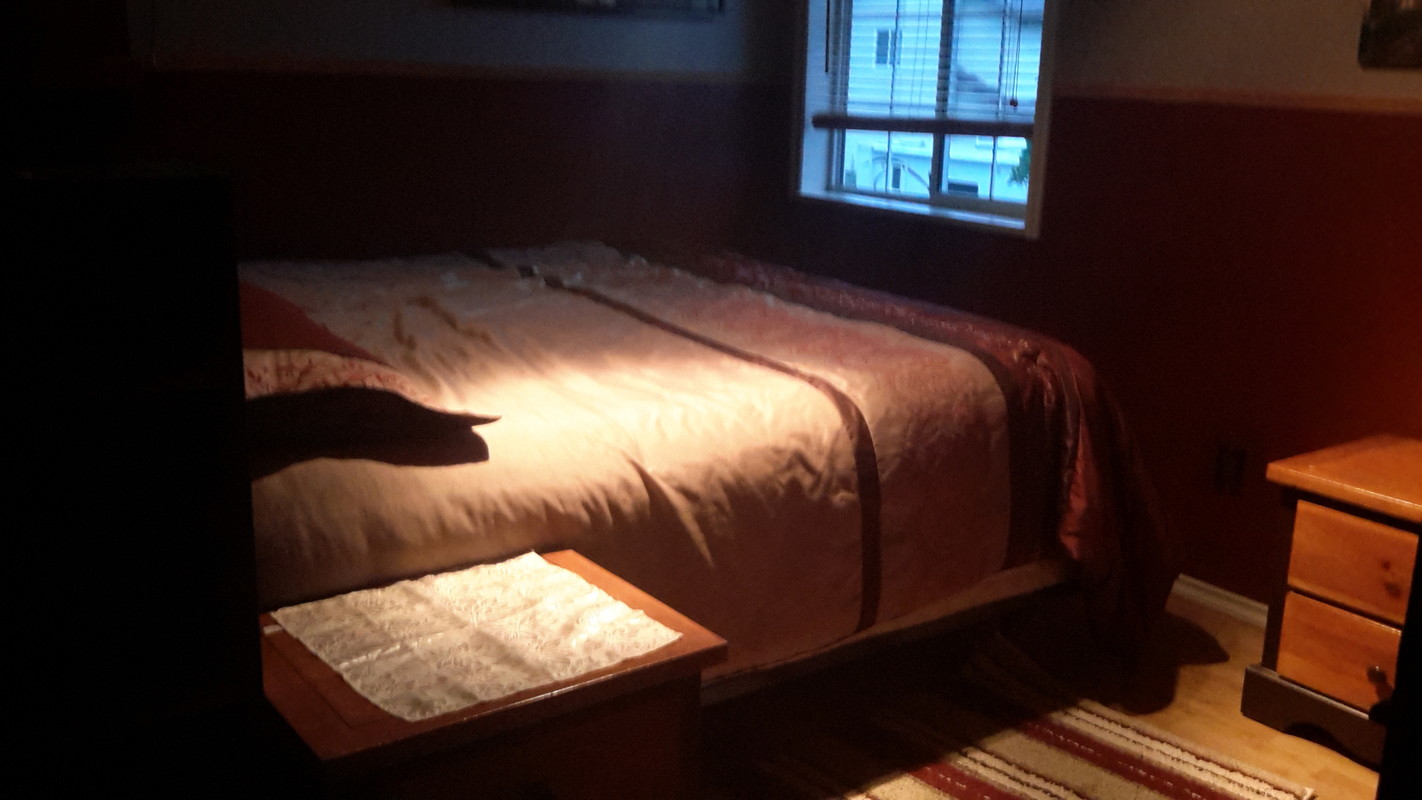  1(Full Room)  -  Large peaceful country setting  - Gallery -  1