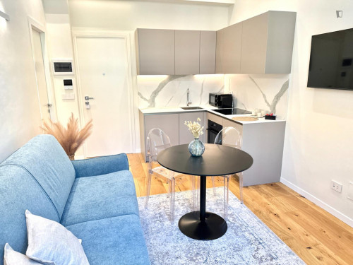 City center, 1-bedroom apartment in Via Lagrange - Gallery - 10