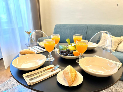 City center, 1-bedroom apartment in Via Lagrange - Gallery - 13