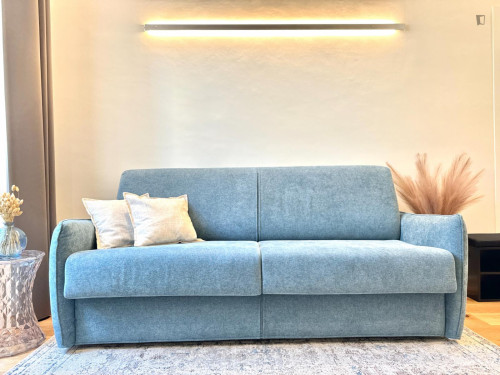 City center, 1-bedroom apartment in Via Lagrange - Gallery - 7