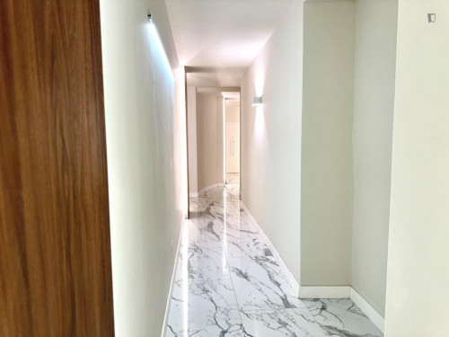 City center, 1-bedroom apartment in Via Lagrange - Gallery - 2