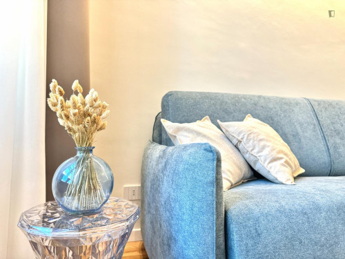 City center, 1-bedroom apartment in Via Lagrange - Gallery - 8