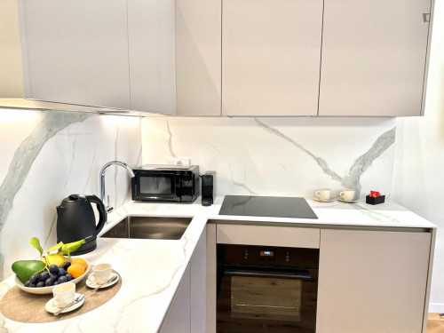 City center, 1-bedroom apartment in Via Lagrange - Gallery - 11