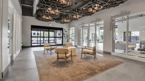 Air Buffalo  - Gallery -  2