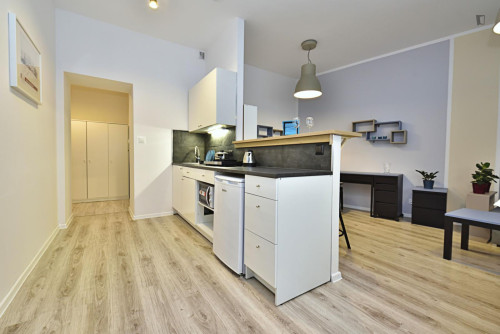 Comfortable studio in Fabryczna  - Gallery -  5